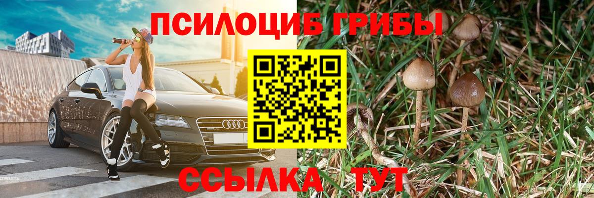 Псилоцибиновые грибы Cubensis  Вход с VPN  Псилоцибиновые грибы ЛСД  Будённовск 