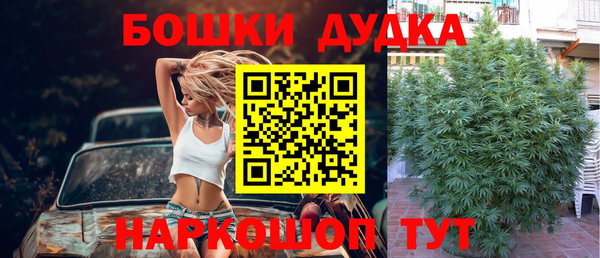 Бошки Шишки индика Будённовск